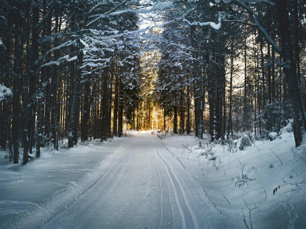 Neve